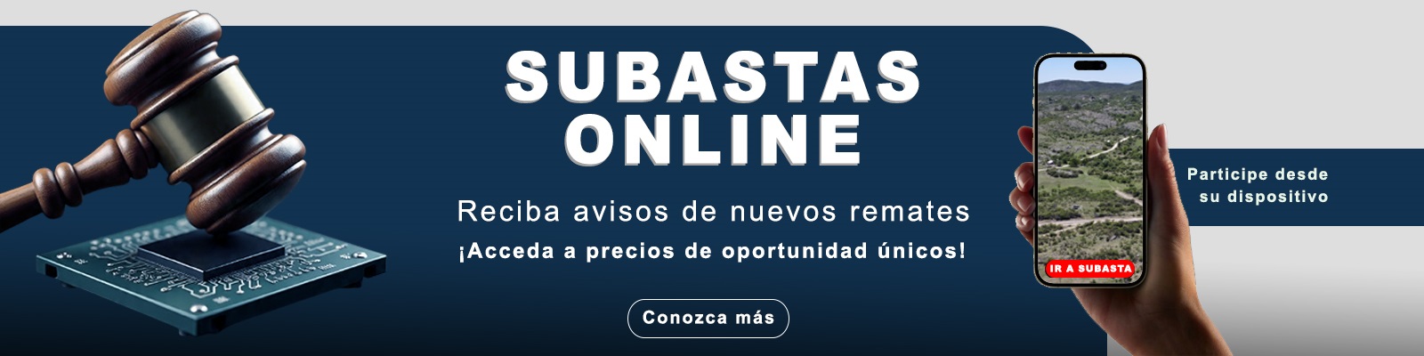 Descripción de la imagen